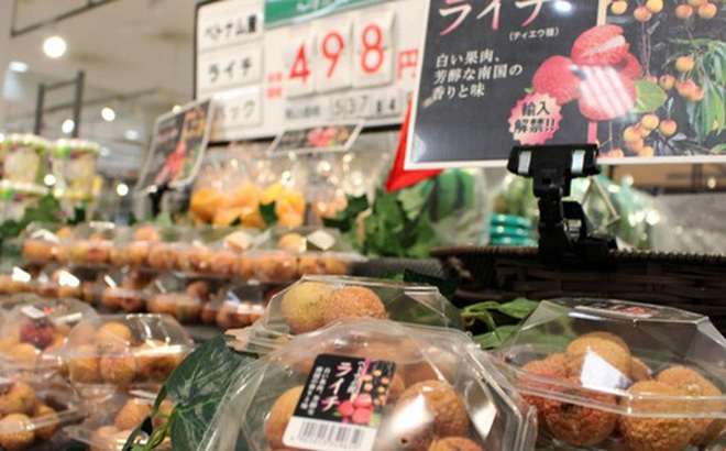 vietnamese lychee to open japanese market